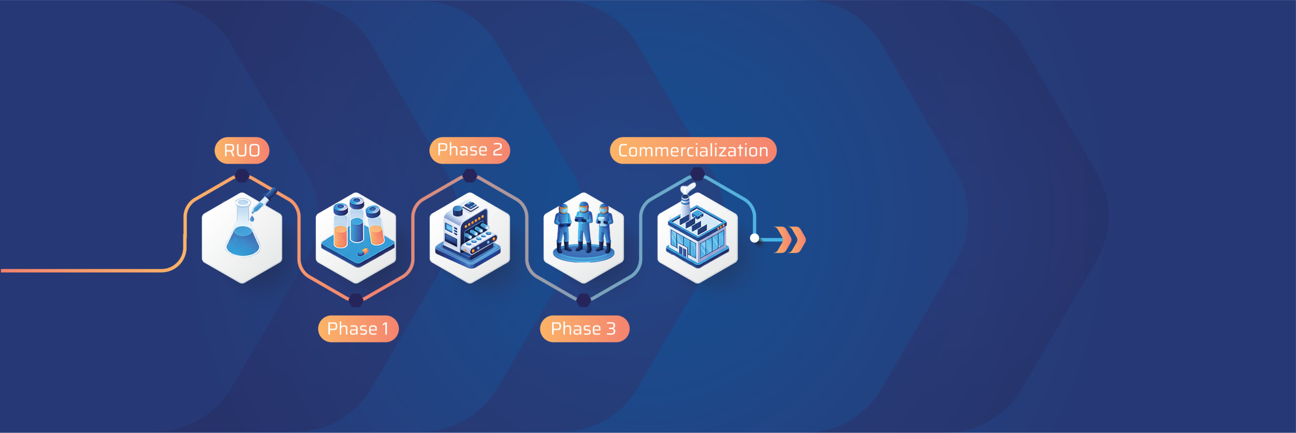Flow diagram of a drug development pipeline: RUO, Phase 1, Phase 2, Phase 3, and Commercialization on a blue gradient background, with hexagonal icons.