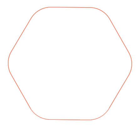 Decorative white hexagon with a thin orange border on a dark background.
